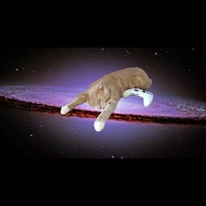 Meet your Posher, Carlos